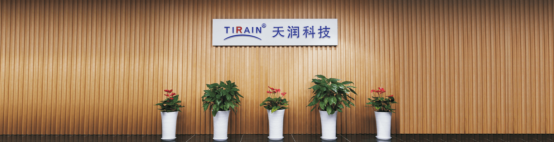 天润科技企业介绍