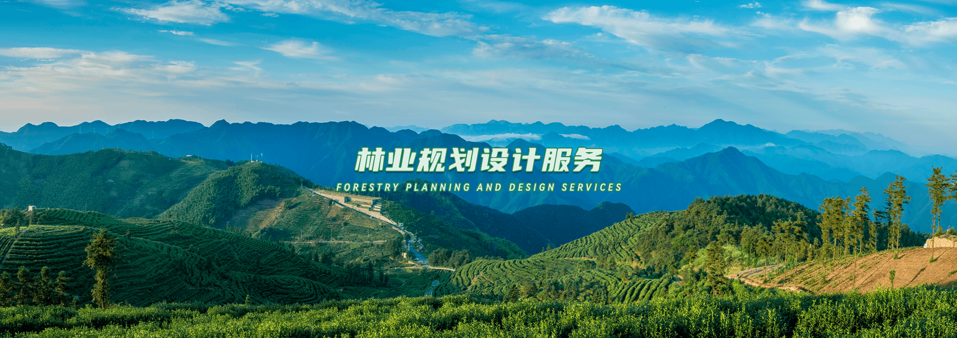 智慧林业解决方案