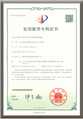 Patent certificate 3